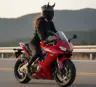 Azogxzi's Avatar